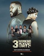 Watch 3 Working Days Megavideo