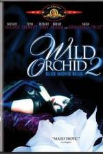 Watch Wild Orchid II Two Shades of Blue Megavideo