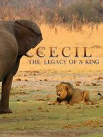 Watch Cecil: The Legacy of a King Megavideo