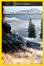 Watch National Geographic Yellowstone Winter Megavideo