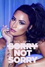 Watch Demi Lovato: Sorry Not Sorry Megavideo