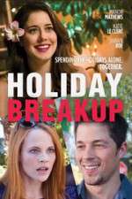 Watch Holiday Breakup Megavideo