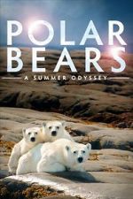 Watch Polar Bears: A Summer Odyssey Megavideo