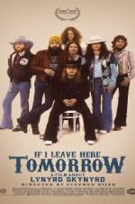 Watch If I Leave Here Tomorrow: A Film About Lynyrd Skynyrd Megavideo