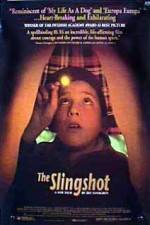 Watch The Slingshot Megavideo