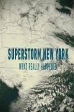 Watch Superstorm New York: What Really Happened Megavideo