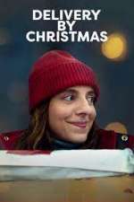 Watch Delivery by Christmas Megavideo