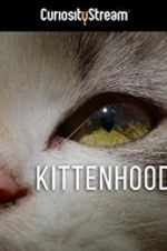 Watch Kittenhood Megavideo
