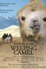 Watch The Story of the Weeping Camel Megavideo