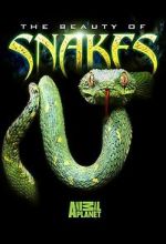 Watch Beauty of Snakes Megavideo