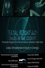 Watch Fatal Flight 447: Chaos in the Cockpit Megavideo