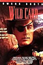 Watch Wild Card Megavideo