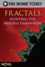 Watch NOVA - Fractals Hunting the Hidden Dimension Megavideo