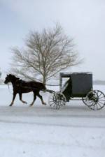 Watch Leaving Amish Paradise Megavideo