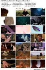 Watch History Channel Evolve: Jaws Megavideo