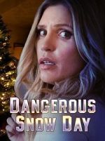 Watch Dangerous Snow Day Megavideo