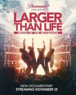 Watch Larger Than Life: Reign of the Boybands Megavideo