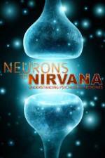 Watch Neurons to Nirvana Megavideo