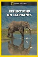 Watch Reflections on Elephants Megavideo