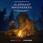 Watch The Elephant Whisperers (Short 2022) Megavideo