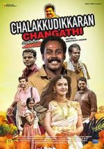 Watch Chalakkudykkaran Changathy Megavideo