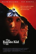 Watch The Karate Kid Part III Megavideo