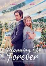 Watch Planning on Forever Megavideo