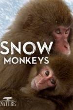 Watch Nature: Snow Monkeys Megavideo