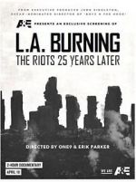Watch L.A. Burning: The Riots 25 Years Later Megavideo