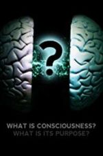 Watch What Is Consciousness? What Is Its Purpose? Megavideo