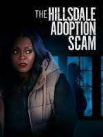 Watch The Hillsdale Adoption Scam Megavideo