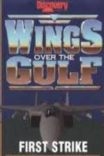 Watch Wings Over the Gulf Vol  1  First Strike Megavideo