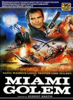 Watch Miami Golem Megavideo