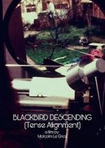 Watch Blackbird Descending Megavideo