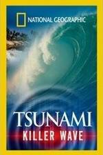 Watch National Geographic: Tsunami - Killer Wave Megavideo