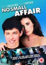 Watch No Small Affair Megavideo