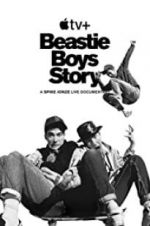 Watch Beastie Boys Story Megavideo