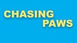 Watch Chasing Paws (Short 2020) Megavideo
