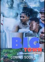 Watch Big Town Megavideo