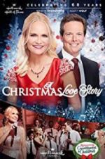 Watch A Christmas Love Story Megavideo