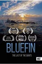 Watch Bluefin Megavideo