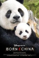 Watch Born in China Megavideo
