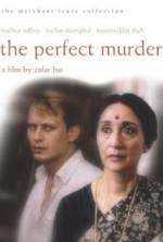 Watch The Perfect Murder Megavideo