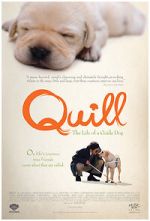 Watch Quill: The Life of a Guide Dog Megavideo