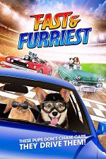 Watch Fast and Furriest Megavideo