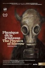 Watch The Physics of Sorrow Megavideo