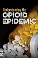Watch Understanding the Opioid Epidemic Megavideo
