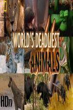 Watch National Geographic - Worlds Deadliest Animal Battles Megavideo