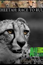 Watch Cheetah: Race to Rule Megavideo
