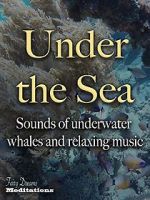 Watch Under the Sea Megavideo